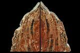 Tall, Arizona Petrified Wood Bookends - Red & Black #158882-1
